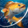 钓鱼挑战赛手机版游戏下载-钓鱼挑战赛v2.4.5官方版下载 2.4.5