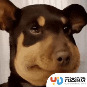 国产手机引入新技术，iPhone17或将失去优势