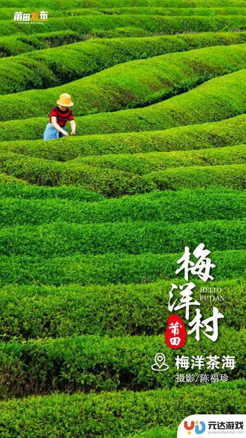 古丈茶乡：手机助力农业迸发新活力
