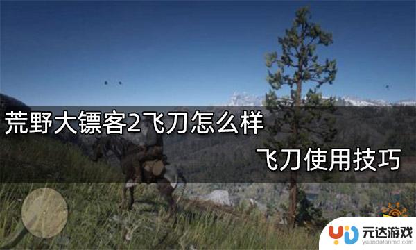 荒野大镖客2飞刀解锁