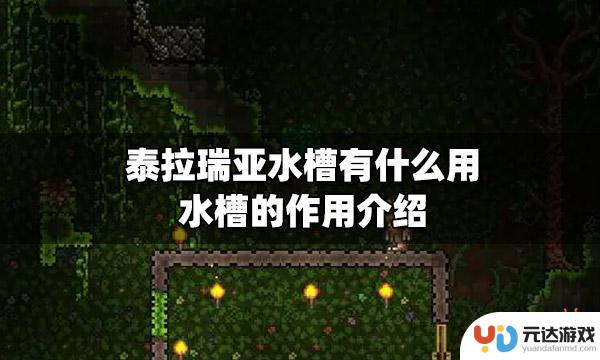 泰拉瑞亚水槽怎么制作