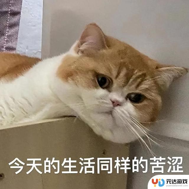 魔兽国服20周年幻化免费领，白嫖党欢欣鼓舞，玩家惊讶爆率飙升