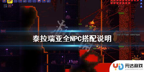 泰拉瑞亚npc喜好有什么用