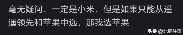 现在选购手机，你更倾向于华为还是苹果？网友：为何不考虑小米？